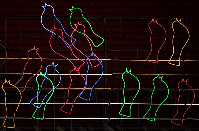 pozna�skie s�owiki NEON